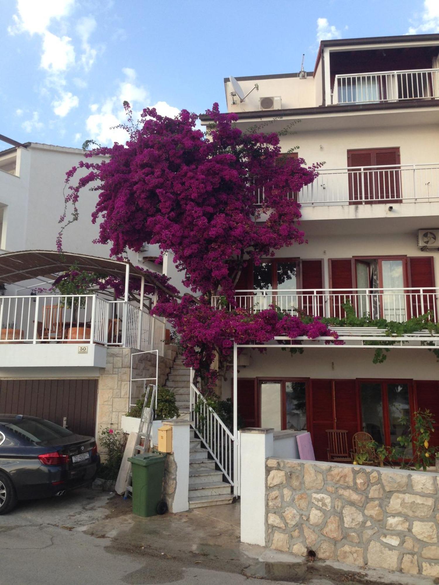 Apartment Duda Hvar Town Exteriér fotografie